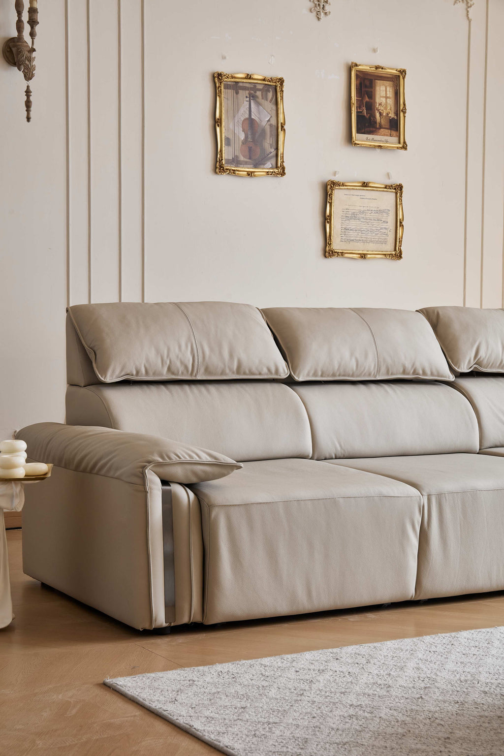 Chocolate Electric Sofa Bed