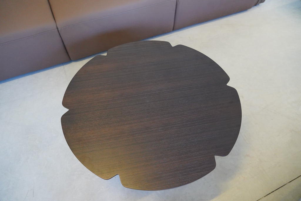 Lian-Shadow Coffee Table